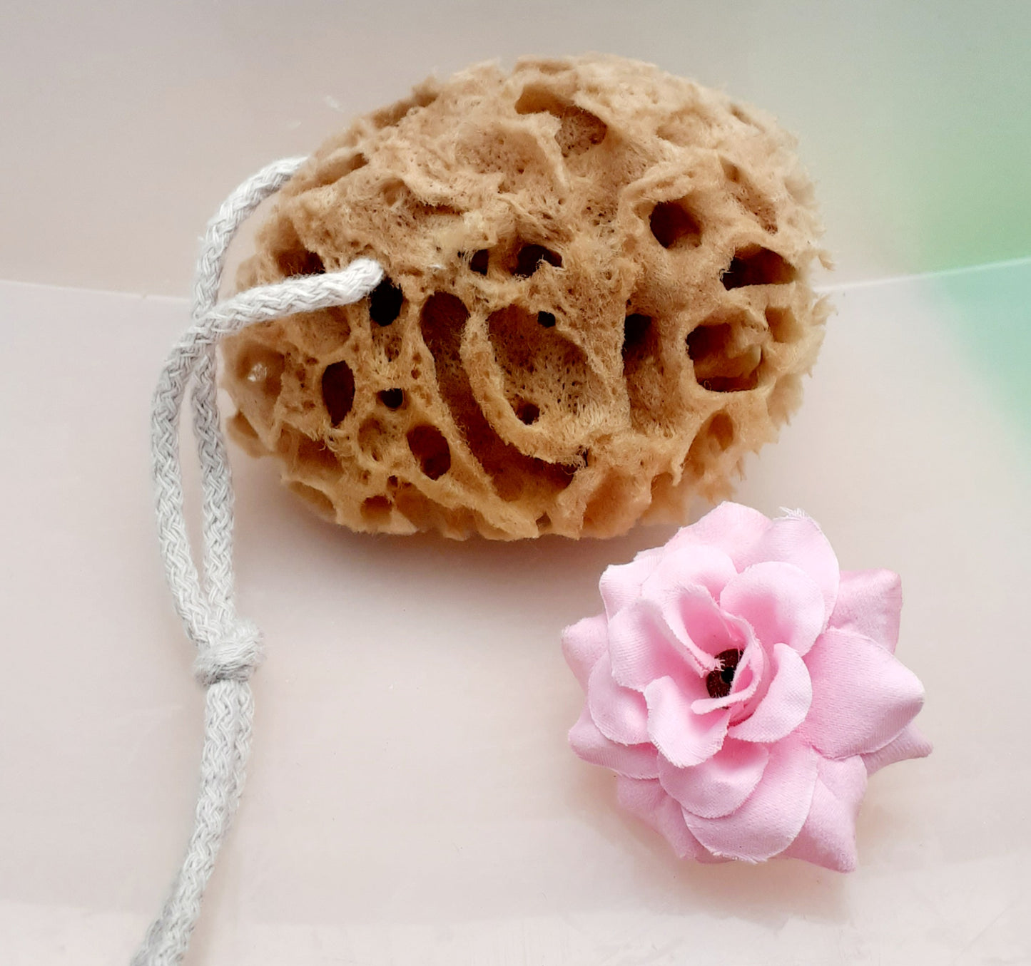 Honeycomb Naturschwamm mit Kordel