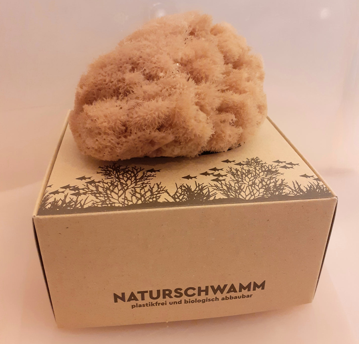 Pulsh Silk samtweicher Naturschwamm